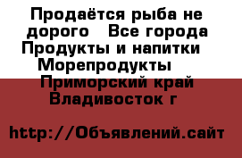 Продаётся рыба не дорого - Все города Продукты и напитки » Морепродукты   . Приморский край,Владивосток г.